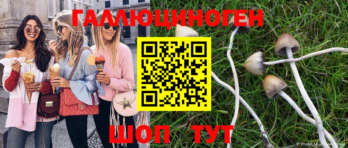 Псилоцибиновые грибы ЛСД  Псилоцибиновые грибы Magic Shrooms  Вход с VPN  Скопин 